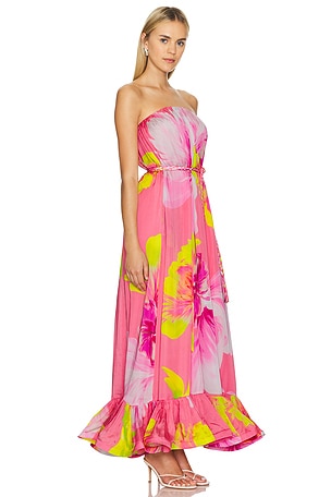 HEMANT AND NANDITA Maxi Dress in Pink