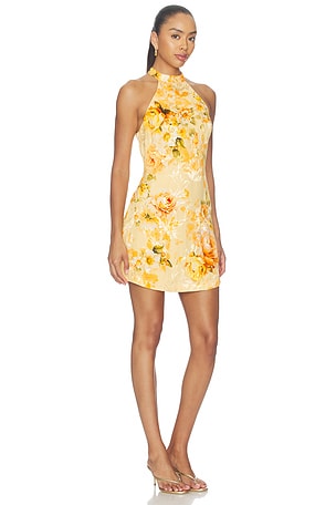 HEMANT AND NANDITA Halter Mini Dress in Yellow