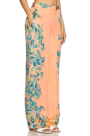 HEMANT AND NANDITA Straight Pants With Buckle Belt in Pink,Blue