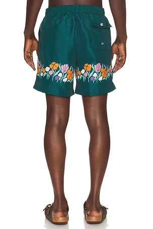 Bather Evergreen Lawn Printed Swim Trunks in Green