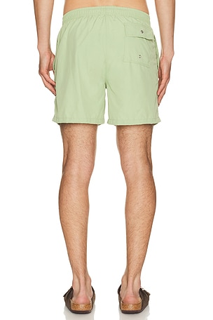 Bather Solid Moss Swim Trunks in Green