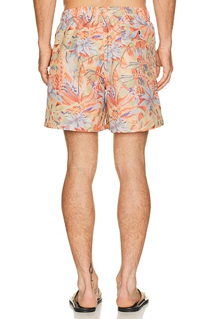 Bather macaw jungle swim trunk en color rojo