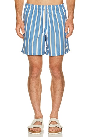 Fine Stripe Swim Trunk Bather