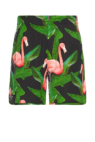 Flamingo Swim Shorts Blue Sky Inn