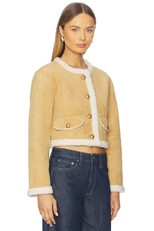 BLANKNYC Cropped Jacket in Ahead Of The Curve in Tan
