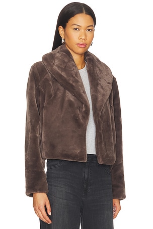 BLANKNYC Cropped Faux Fur Coat in Grey