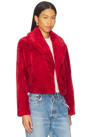 BLANKNYC Cropped Faux Fur Coat in Red