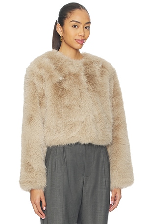 BLANKNYC Crop Faux Fur Coat in Beige