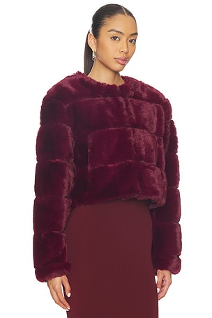 BLANKNYC Cropped Faux Fur Coat in Burgundy