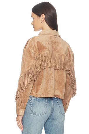 CROPPED  ジャケット BLANKNYC