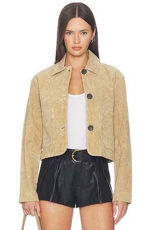 SUEDE  ジャケット BLANKNYC