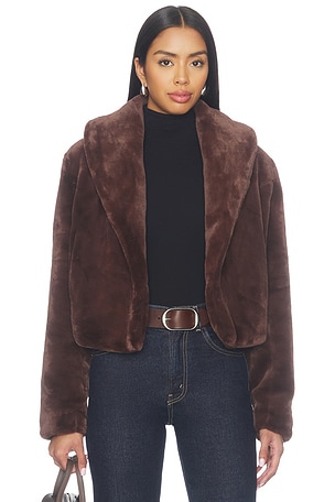 Faux Fur Teddy Coat BLANKNYC