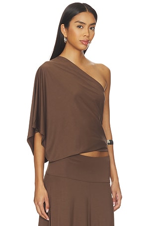 Belle Anna Arden Top in Brown
