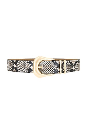 Koda Python Belt B-Low the Belt