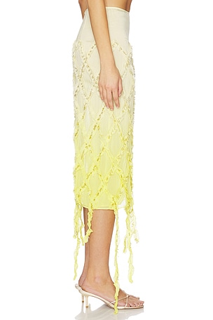 Blumarine Embroidered Creponne Skirt in White,Yellow