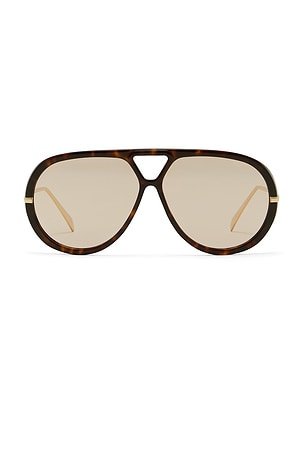 The Harley Sunglasses Banbe