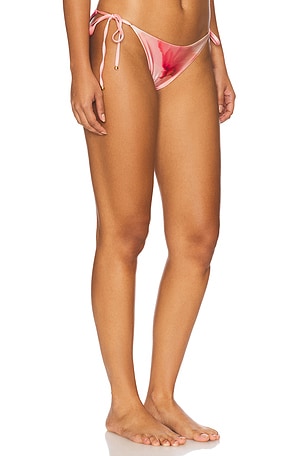 BOAMAR Naos Bikini Bottom in Blush