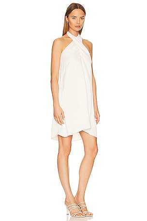 Bobi Black High Neck Halter Mini Dress in Ivory