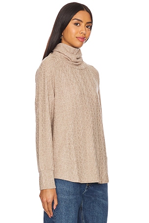 Bobi Long Sleeve Turtleneck in Tan