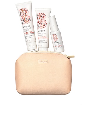 Blossom & Bloom Volumizing Travel Kit Briogeo