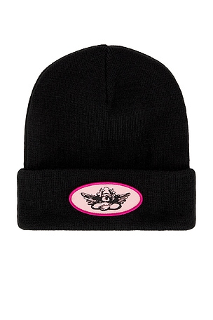 1-800 Beanie Boys Lie