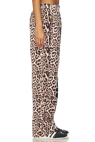 Boys Lie No One Likes A Cheetah Alex Pants in Brown