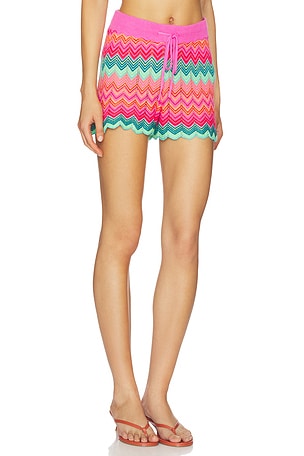 BEACH RIOT Balboa Short in Pink