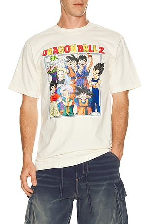 Dragon Ball Z Group Frame Tee BIOWORLD