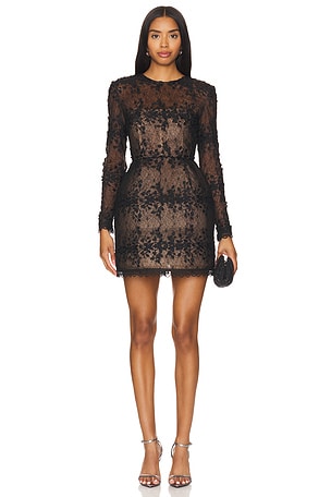 Bardot sasha lace cocktail dress best sale