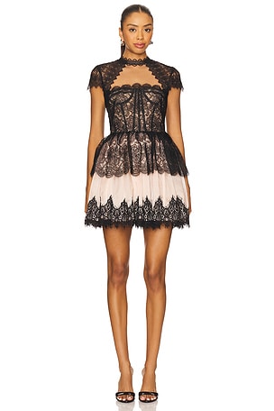 Daphne Mini Dress Bronx and Banco