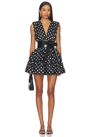 Riley Ruffle Mini Dress Bronx and Banco