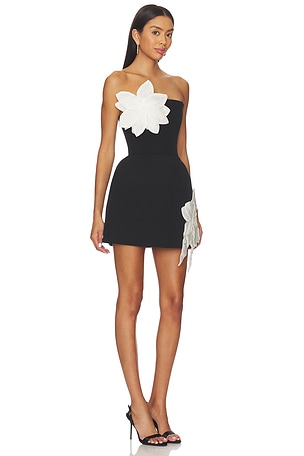 Bronx and Banco Jasmine Maraya Mini Dress in Black,White