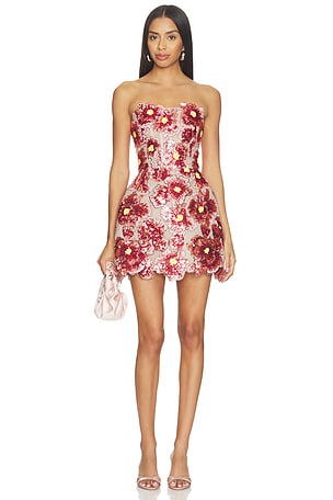 MINIVESTIDO RASPBERRY Bronx and Banco