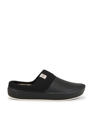 Aura Clog Brunch