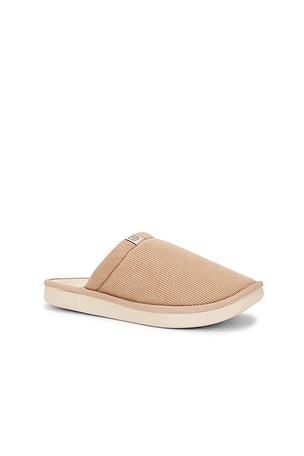 Brunch Essential Corduroy in Brown