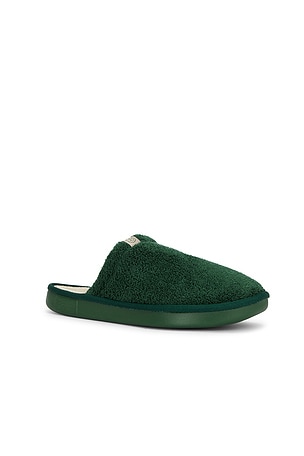 Brunch Essential in Green