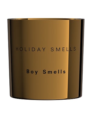 Magnum Holiday Smells Candle Boy Smells