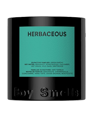 Herbaceous Standard 8.5oz Candle Boy Smells
