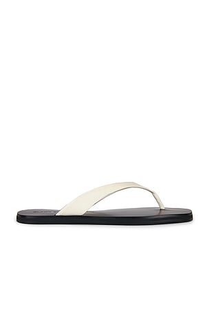 Bae Sandal BLACK SUEDE STUDIO
