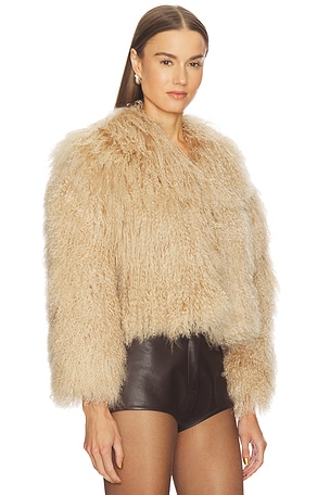 Bubish Georgina Jacket in Tan