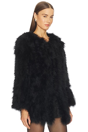 Bubish Monroe Feather Coat in Black