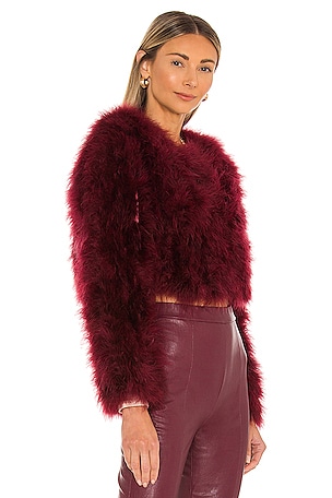 Bubish Manhattan Jacket in Wine