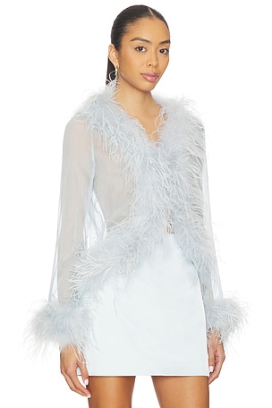 Bubish Gigi Sheer Feather Blouse in Baby Blue