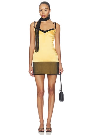 Chinchilla Mini Dress BUCI