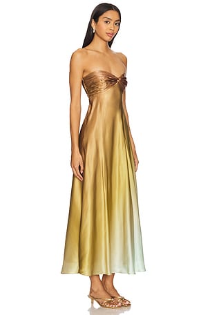 CAMI NYC Aveiro Dress in Brown,Mustard