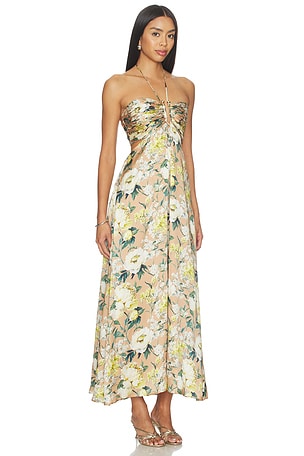 CAMI NYC Calliope Maxi Dress in Tan,White