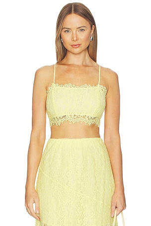 Sofie Lace Cropped Camisole CAMI NYC