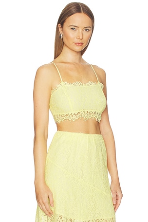 CAMI NYC Sofie Lace Cropped Camisole in Yellow. Size 12. Also