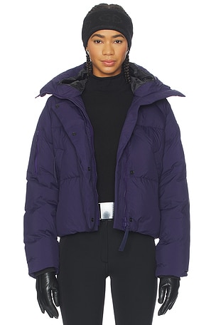 Chilliwack Puffer Canada Goose