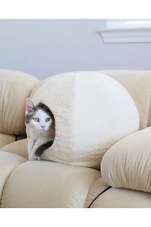 Catenary Home Moon Pet Cave in White